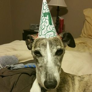 Meet your Posher, Richard